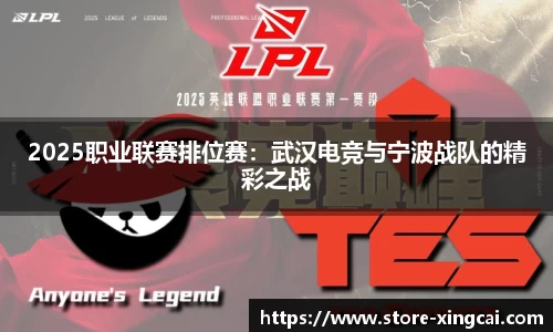 2025职业联赛排位赛：武汉电竞与宁波战队的精彩之战